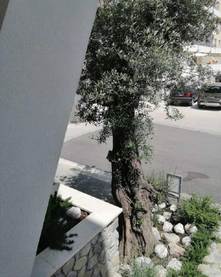 Mondi Azzurri Lägenhet Budva Exteriör bild